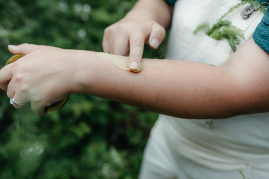 Sapling Salve - Sensitive Skin Salve Folk & Fire Apothecary